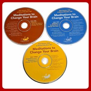 Rick Hanson‎ Meditations To Change Your Brain 3CD Set Self Care Audiobook EUC